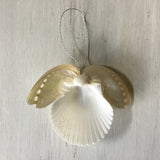 Abalone Angel Craft Box