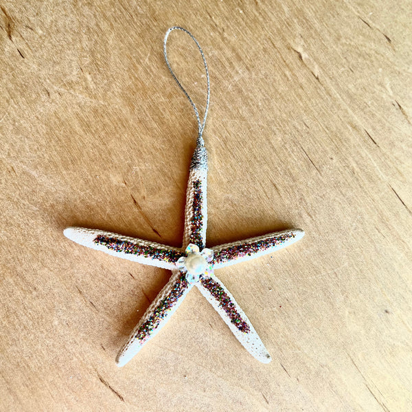 Starfish Shell Star Ornament – Sea Things Ventura