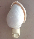 Bonnet Shell Nightlight