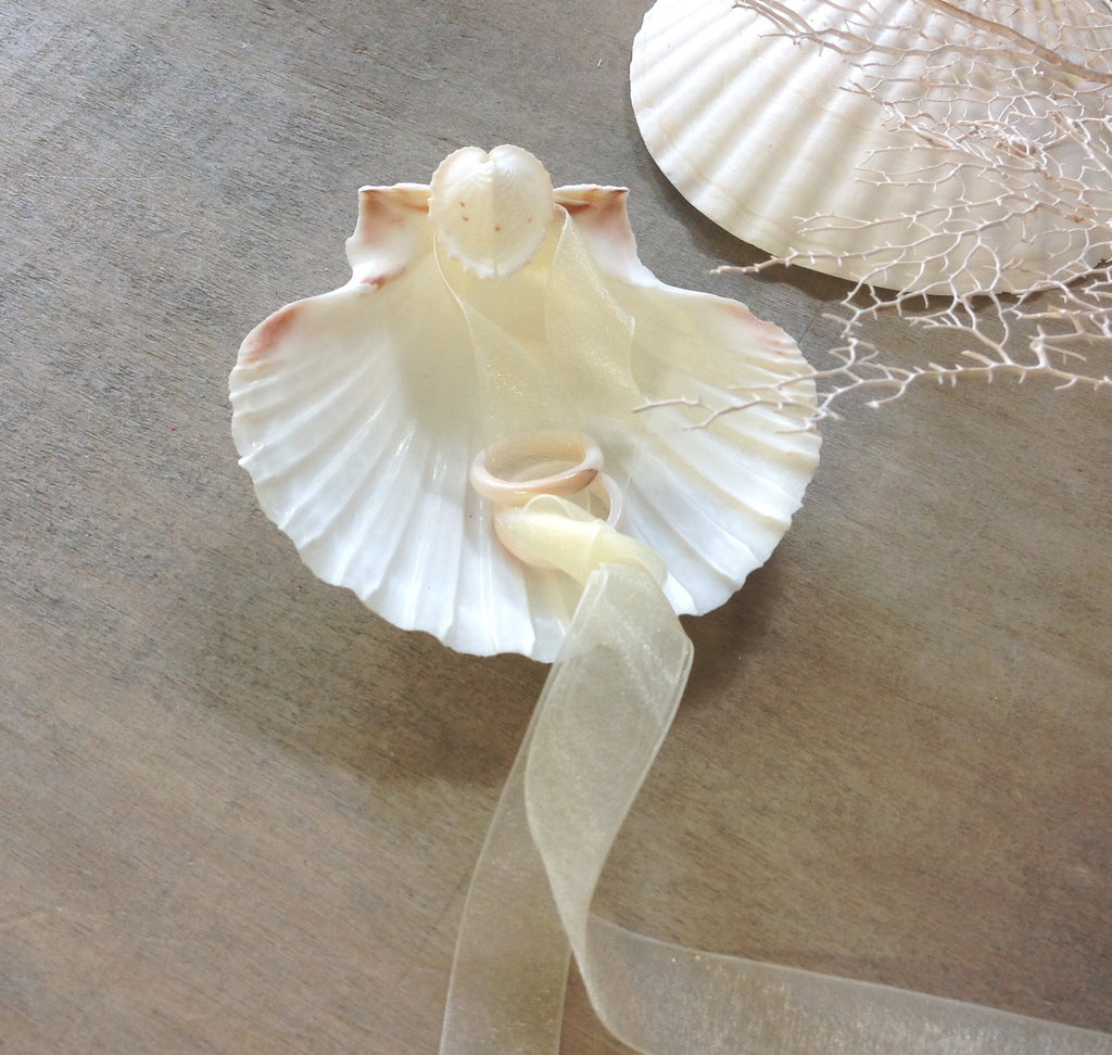 Scallop Shell Wedding "Pillow"