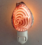 Carved Cowrie Shell Nightlight