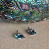 Abalone Inlay Stud Earrings