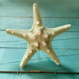 Starfish Tree Toppers