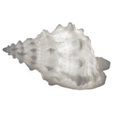 Sandstone Bursa Shell Light