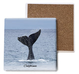 California Whale Tail Coaster