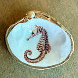 Shell Jewelry Dish
