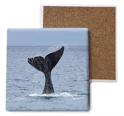 California Whale Tail Coaster