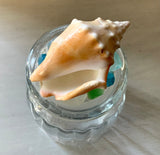 Tropical Shell Top Bottle