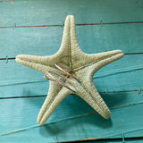 Starfish Tree Toppers