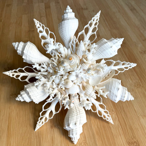 White Shell Coral Tree Topper
