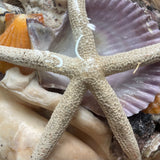 Shell pack