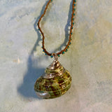 Seashell Charm Necklace
