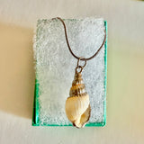 Seashell Gift Box Necklace