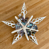 Abalone Shell Tree Topper Star