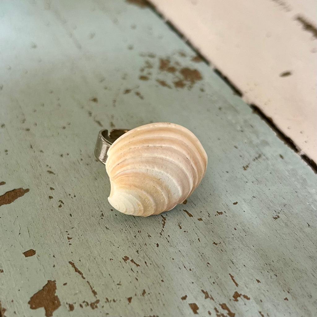 Clam Shell Ring