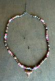Shark Tooth Combella Shell Necklace