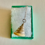 Seashell Gift Box Necklace