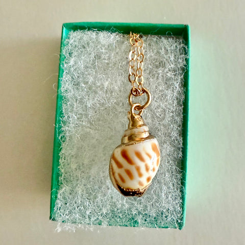 Seashell Gift Box Necklace