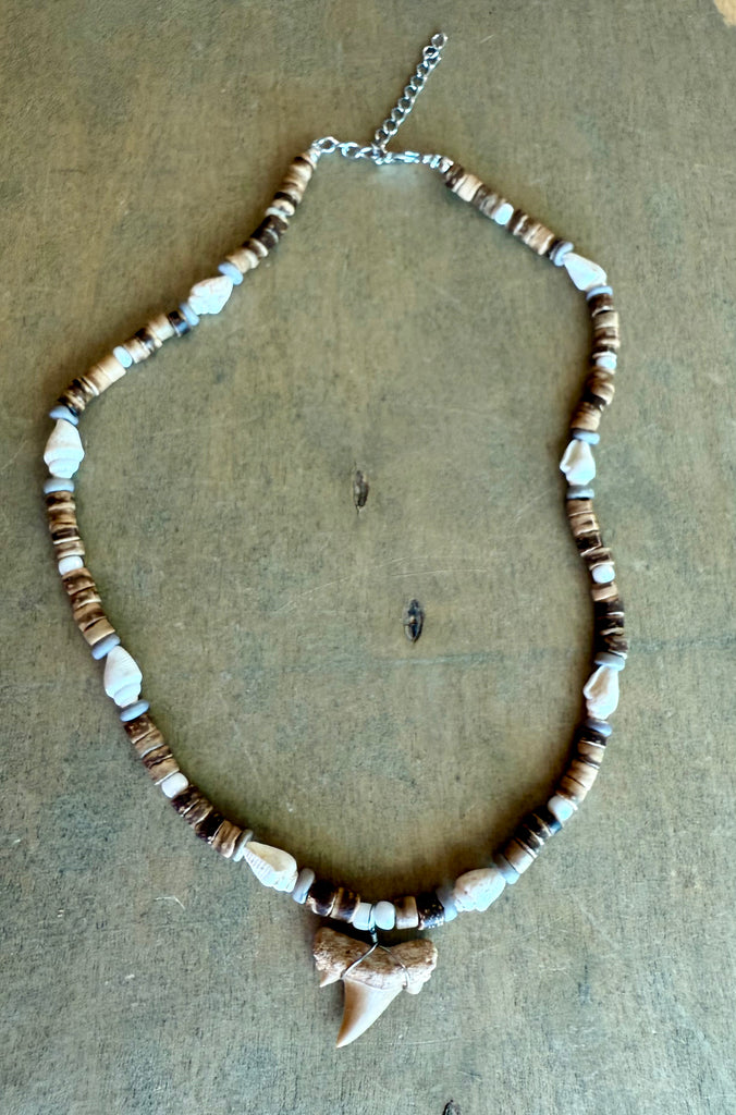 Shark Tooth Combella Shell Necklace