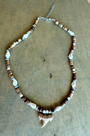 Shark Tooth Combella Shell Necklace