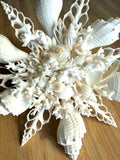 White Shell Coral Tree Topper