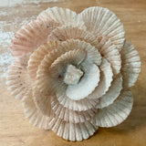 Colorful Seashell Flower Ornament