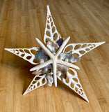 Abalone Shell Tree Topper Star