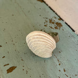 Clam Shell Ring