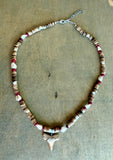 Shark Tooth Combella Shell Necklace