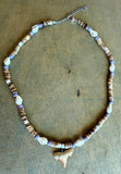 Shark Tooth Combella Shell Necklace
