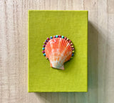 Rainbow Scallop Gift Box