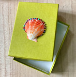 Rainbow Scallop Gift Box
