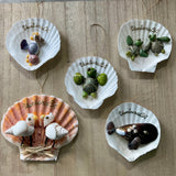 Sea Life Ventura CA Shell Ornament