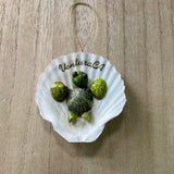 Sea Life Ventura CA Shell Ornament