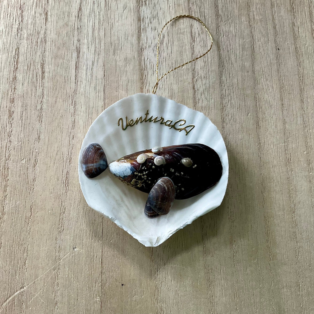 Sea Life Ventura CA Shell Ornament