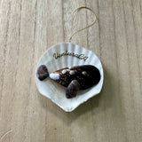 Sea Life Ventura CA Shell Ornament