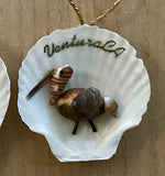 Sea Life Ventura CA Shell Ornament