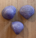 Metal Seashell Magnet