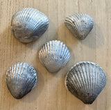 Metal Seashell Magnet