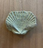 Metal Seashell Magnet