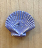 Metal Seashell Magnet