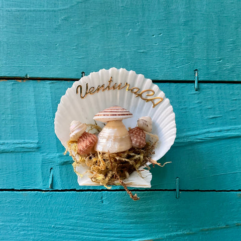 Mushroom Shell Magnet