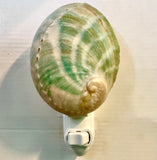 Abalone Shell Nightlight