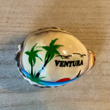 Carved and Painted  Cowries