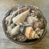 Bulk Shell Pack