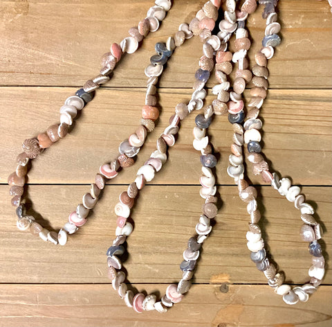Umbonium shell leis