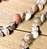 Umbonium shell leis