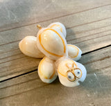 Lucky Seashell Turtle