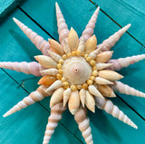 Seashell Sunshine Wall Art