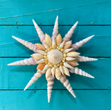 Seashell Sunshine Wall Art